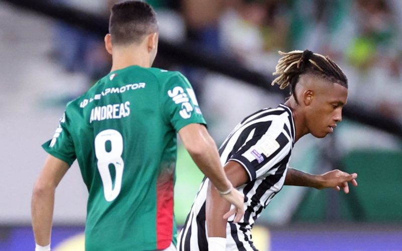 Palmeiras empata sem gols com Botafogo e perde a liderança do Brasileirão para o Flamengo