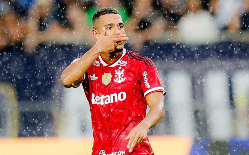 Flamengo assume a liderança do Brasileirão e melhora suas chances de título, enquanto Palmeiras é pressionado na disputa