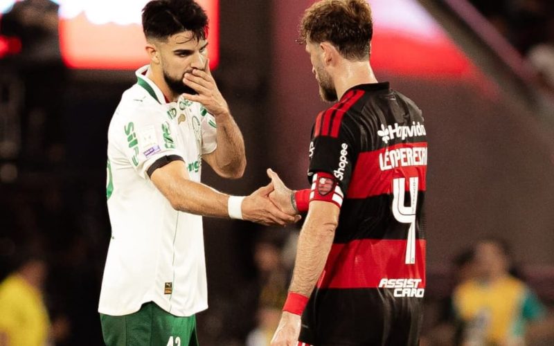 Flamengo assume a liderança do Brasileirão e disputa título com Palmeiras; veja as chances na tabela