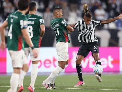 Palmeiras empata com Botafogo e cede liderança do Brasileiro ao Flamengo após 0 a 0 no Nilton Santos