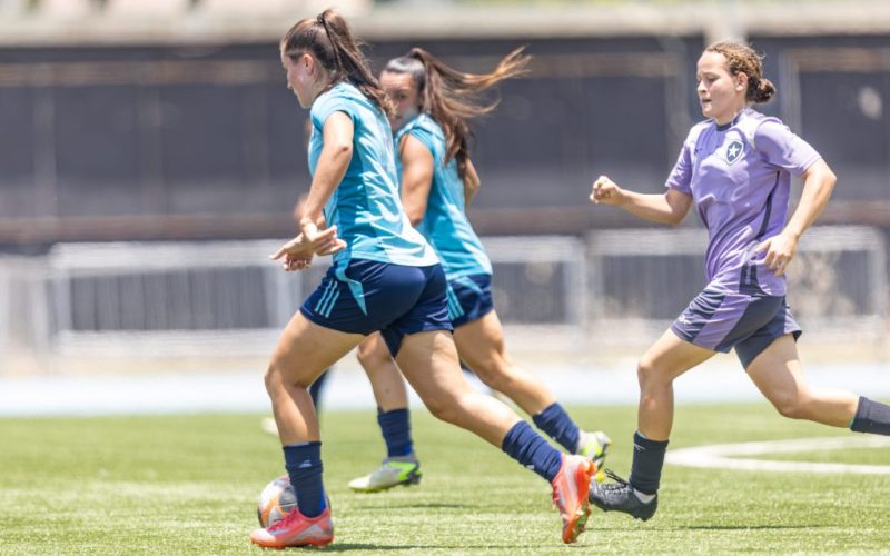 Brasil marca história no futebol feminino: investimento e transferências batem recordes em 2024