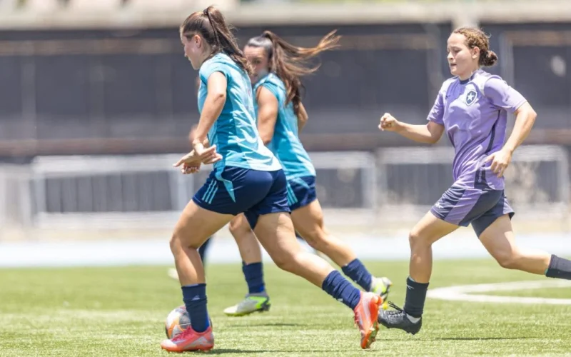 Brasil marca história no futebol feminino: investimento e transferências batem recordes em 2024