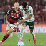 Flamengo e Palmeiras: quem leva vantagem na reta final do Brasileirão?